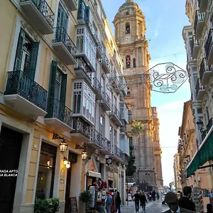 Luxury Catedral Apartment